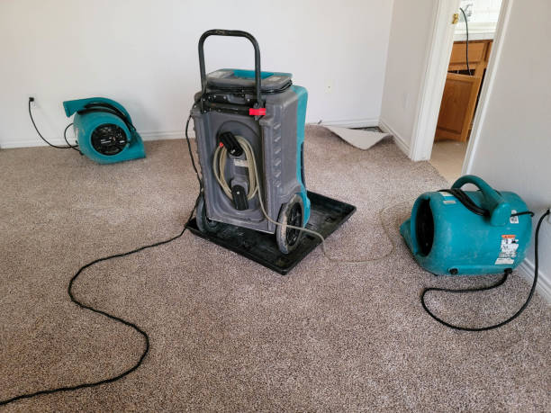 Best Water damage contractors near me  in Woodville, MS