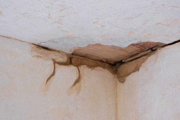 Best Emergency water damage restoration  in Woodville, MS